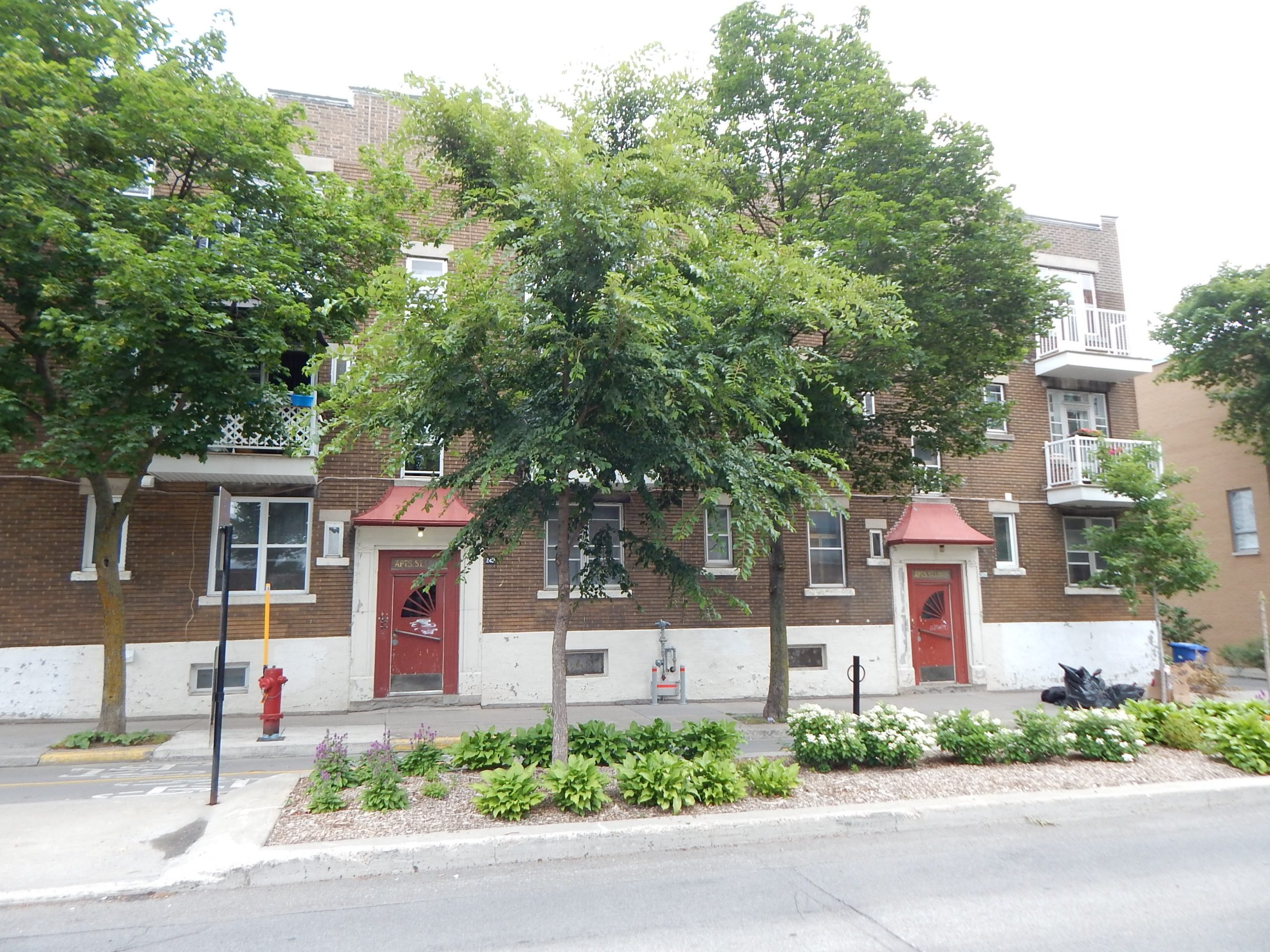 2650 Aylwin, Charming condo for rent in HochelagaMaisonneuve Agrasoy Realty Rentals