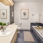 5688a Ave Christophe-Colomb, Spacious 5 1/2 apartment in Plateau 35 ChatGPT Image Jul 29 2026 08 25 01 AM