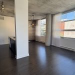 IMG 0246 1