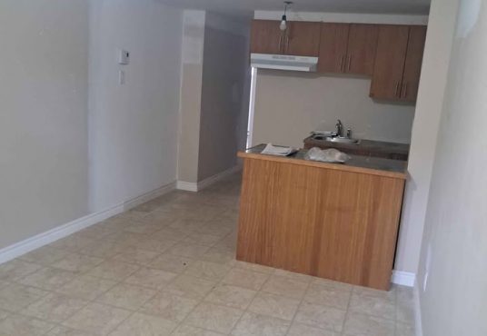 487334041 3840480502856724 8150231964895068248 n