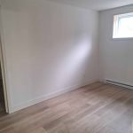 487373245 3840480499523391 5209051226931520556 n