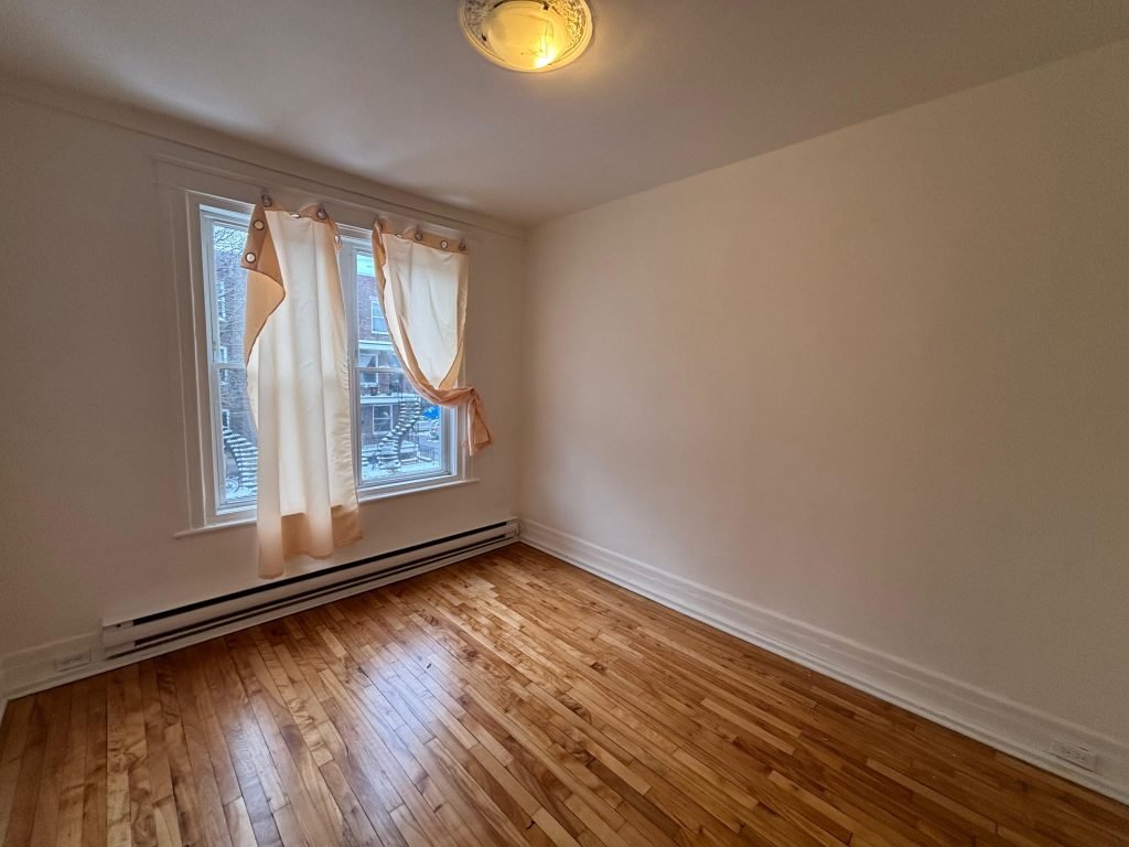 WhatsApp Image 2025 11 17 at 3.34.52 PM