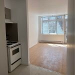 3455 Rue Hutchison - Spacious Studio for Rent in the McGill Ghetto, Montreal Quebec 15 studio 4985090