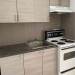 3455 Rue Hutchison - Spacious Studio for Rent in the McGill Ghetto, Montreal Quebec 18 studio 4985091