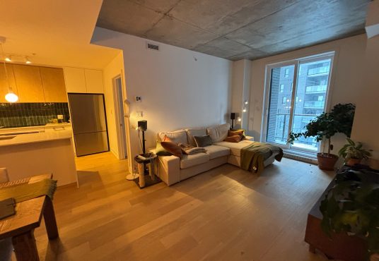 WhatsApp Image 2026 01 20 at 12.33.06 PM 1