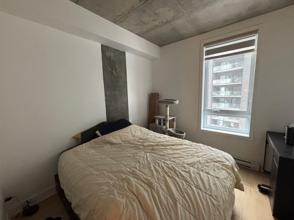 WhatsApp Image 2026 01 20 at 12.33.19 PM 1