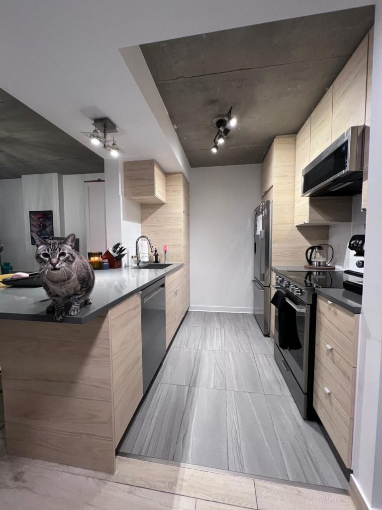 WhatsApp Image 2026 02 10 at 4.31.31 PM